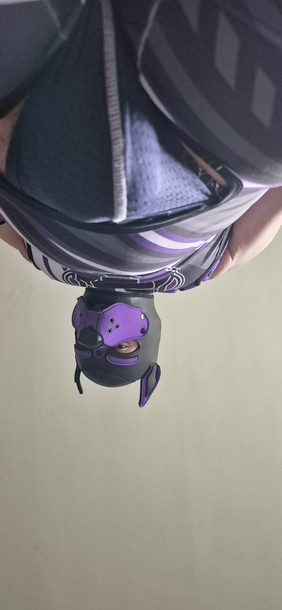 Good_Pup_Kit's tweet photo. Balloons! Insane how fast the years gone! 22 now, downhill from here puppers!! 💜🐾

Sidenote; thank you to my amazing boyfriend @PupShifter for my birthday gifts and for taking pics :3 https://t.co/aP2tsAbXQO