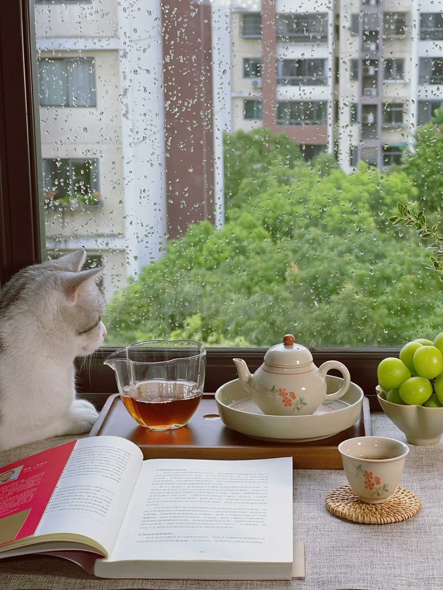 vikassh84005225's tweet photo. Just brewed a warm cup of oolong tea while the rain taps on the window—this quiet cozy Sunday hits different at home.， https://t.co/GVNQeJqzth