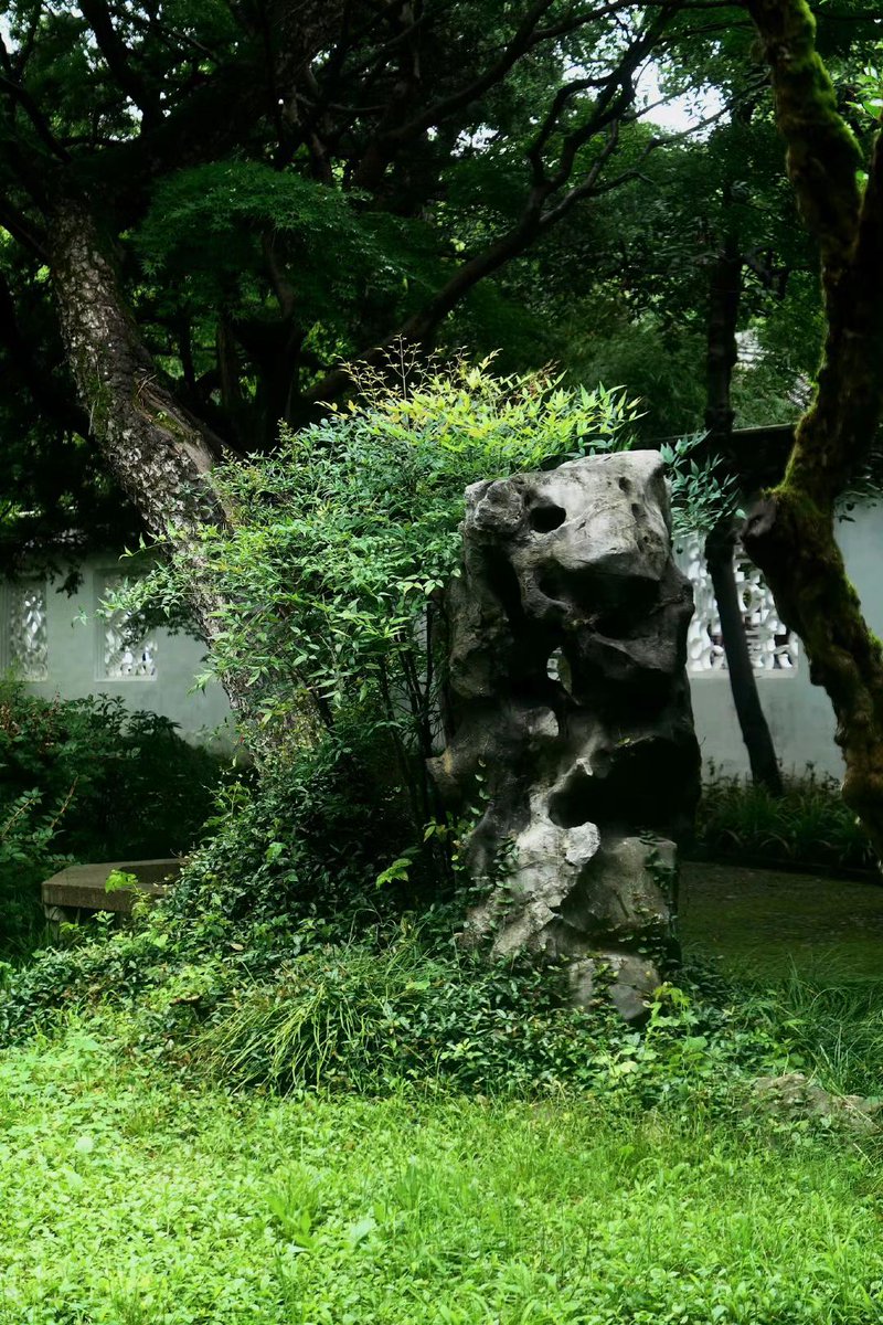 StasiaMerldj's tweet photo. sometimes everything feels quiet and heavy at once. is there a point to all this stillness, or am i just overthinking the mood again? maybe 🐢 https://t.co/uVKvErWRs1