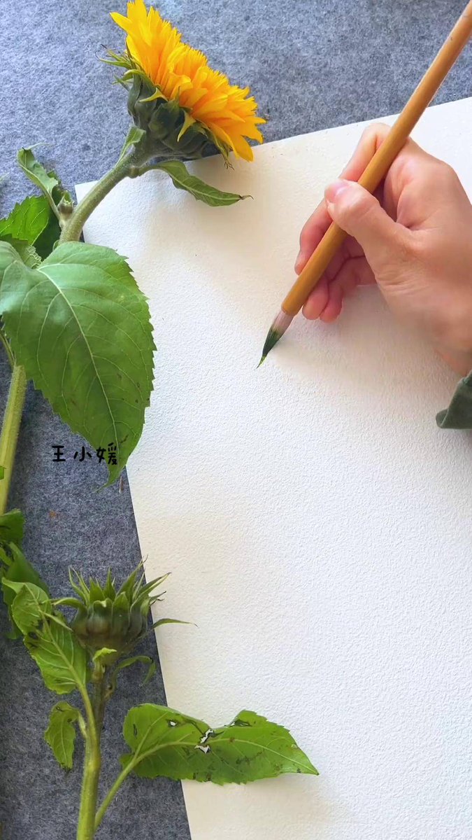 edvDDgyS1Q5lpHQ's tweet photo. Tired of scrolling Try 10 mins of pencil sketching daily! It’s low-pressure, fun, and sharpens your creativity. Start small, that’s the key https://t.co/T21HGgTIdB