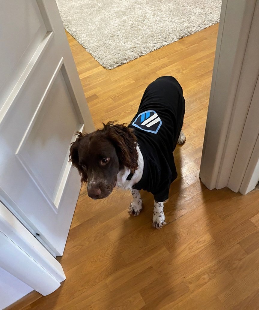 arbitrummiles's tweet photo. Tell me the truth.

Are you actually early on $MILES…
or are you just waiting for someone else to make it safe first?

Drop 🐶 if you’re already in.
Drop ⏳ if you’re still hesitating.

No judgement. Just numbers. https://t.co/PS2j4pCzHj