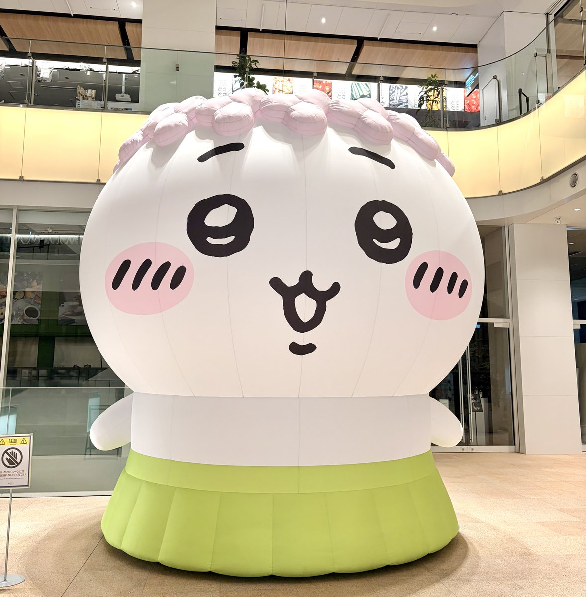 moya_hw's tweet photo. でっかかわ https://t.co/dvQEPV8Q40