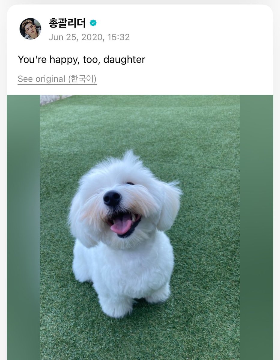 sounds_of_cheol's tweet photo. 🍒: "my daughter"

i miss kkuma coups so much 🥺 https://t.co/qJb8rm7PZy