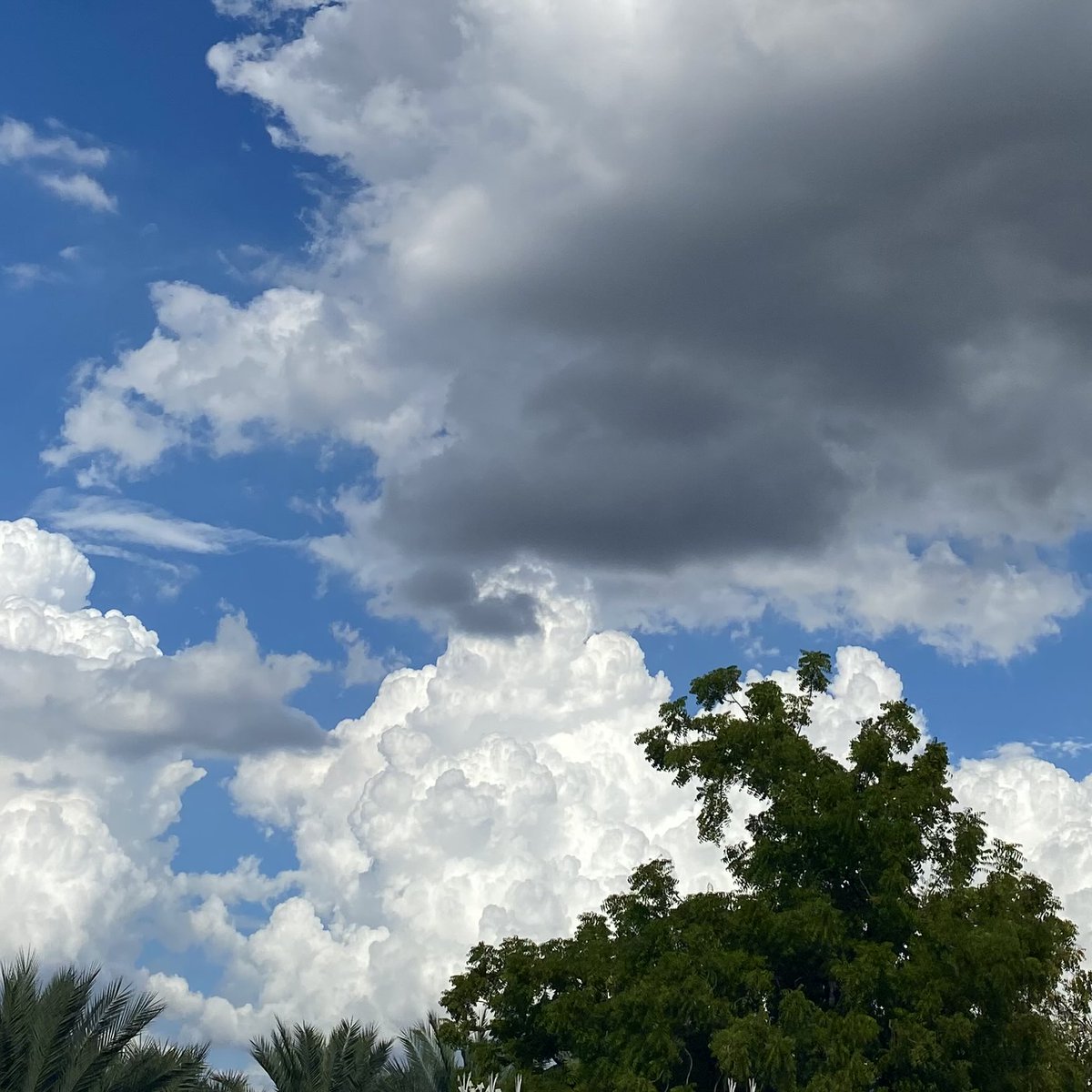 _smaa__'s tweet photo. غيوم اليوم في قلبي ☁️💫. https://t.co/Zb1xYlN0QM