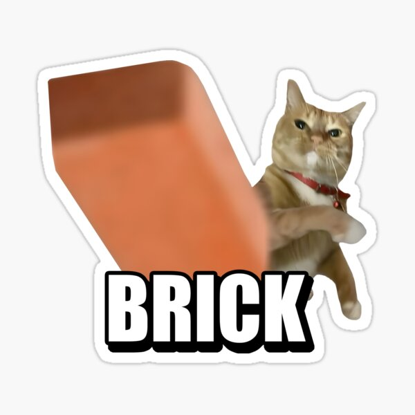 narr4tive's tweet photo. 这个表情包是币安用BRICK CAT表情包二创的，我们应该遵循他的本名  BRICK CAT ，并不用改变他的名称，因为BNB 是BUILD AND BUILD，BUILD 离不开BRICK 砖，所以也许我们应该直接发送BRICK CAT更合适。

币股季当然用币股底池发送 https://t.co/HEPvbDRFXI
