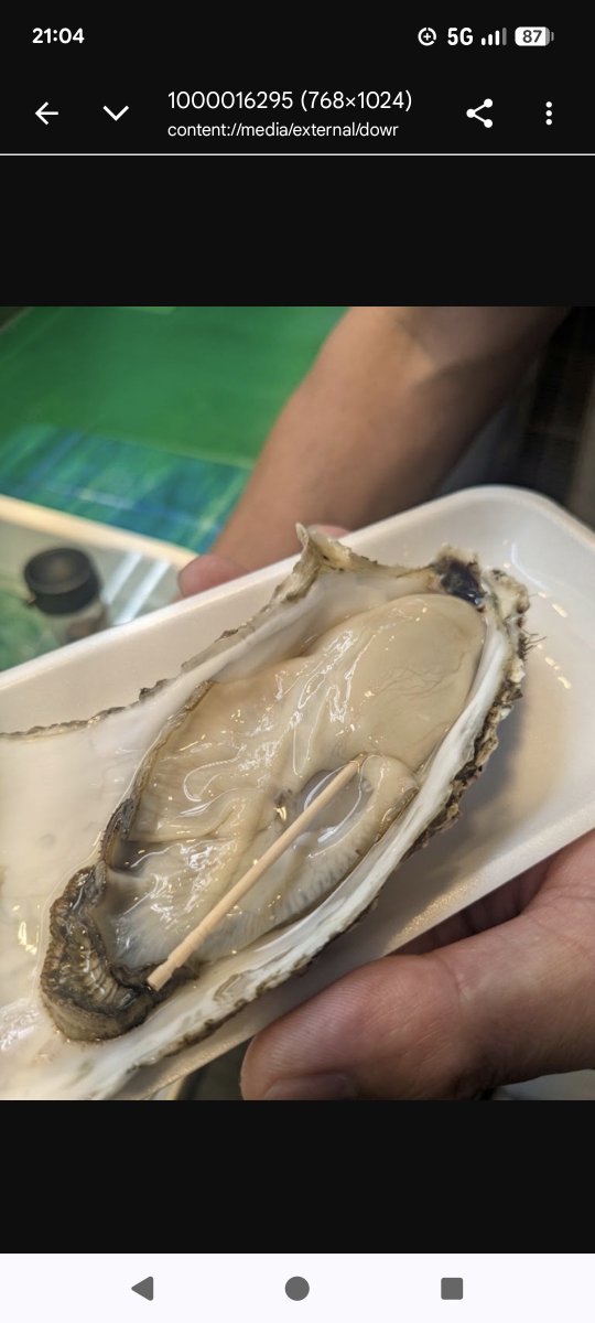 chiepmapma's tweet photo. 東北道7年ぶりに運転したー。三沢へ墓参り行きがてら、八食サマーフリーライブ。明日は朝から行くぞー
#八食サマーフリーライブ2026
#HSFL #八食サマーフリーライブ
#OAT #overarmthrow https://t.co/iaMxCcRKBo