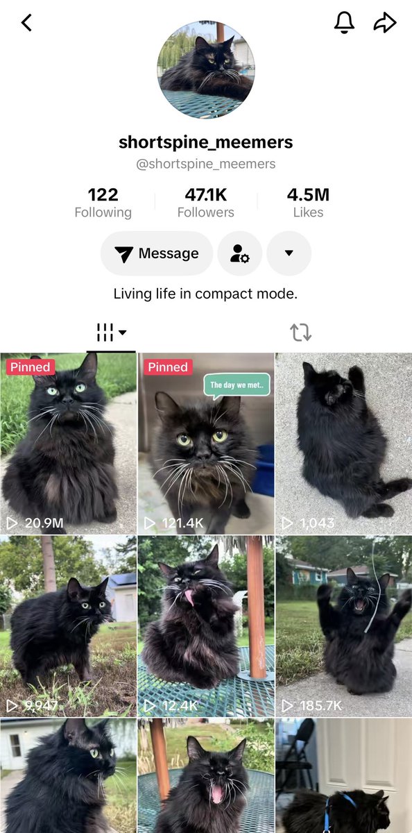 MeemersSolana's tweet photo. $Meemers mindshare is expanding🧠

Tiktok  over 4.5m likes, one video 21m views👀

IG Blue Check Mark✅

IG 40m views video👀

Fan art coming in🎨

Brands starting to interact🚀 

CTO. Cat Take Over time🐈‍⬛ https://t.co/SJtEbLugeg