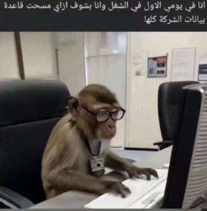 i7atoo's tweet photo. أنا بالتدريب قريبا https://t.co/ZE2Q3JCFNo