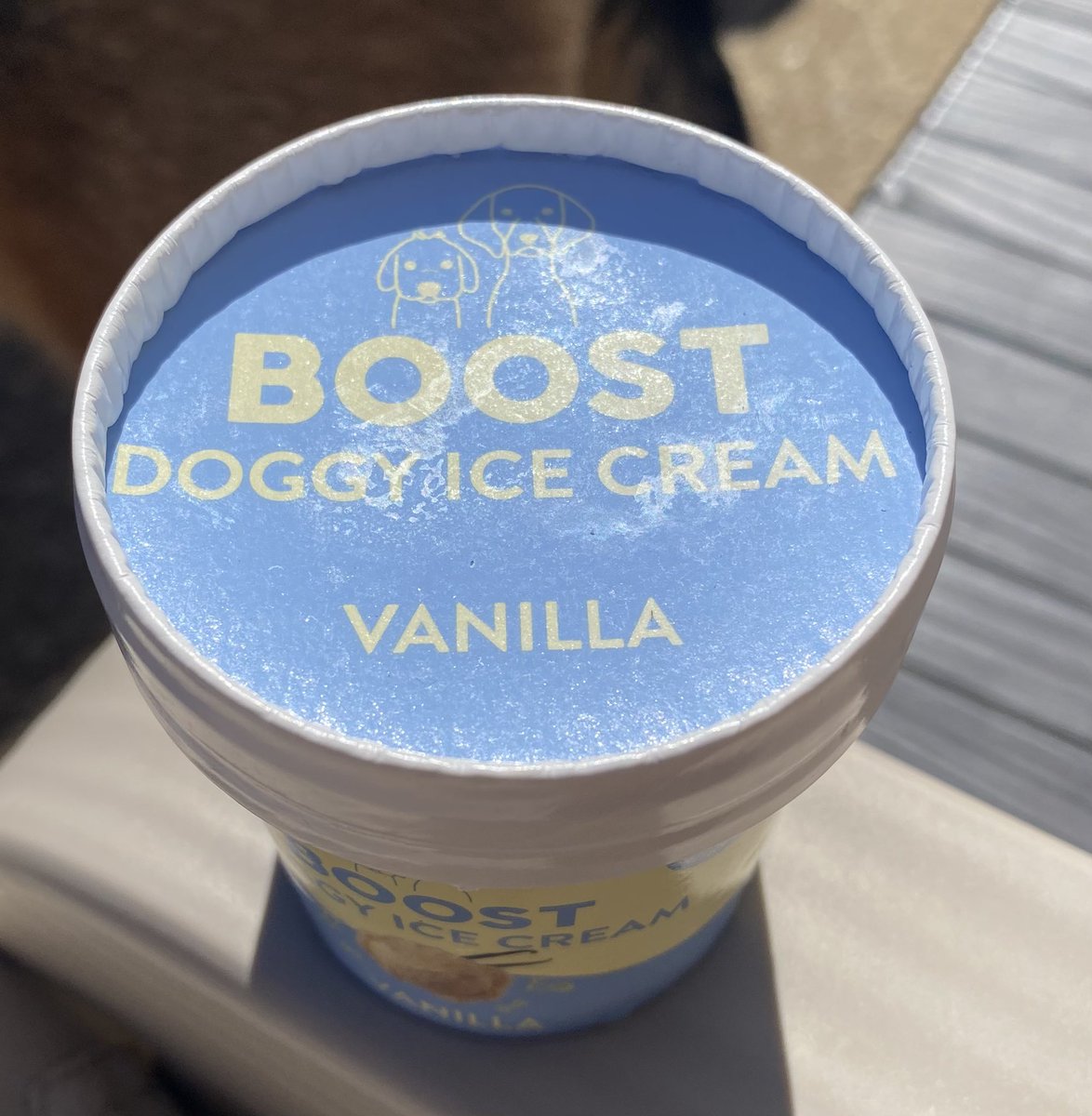 BrexitBuster's tweet photo. Ruby and her pal Teddy the Border Collie have had a special treat this sunny afternoon! A nice cooling doggy ice cream each. Pots licked clean and then double-checked just in case. Two very spoilt pooches, but we love them. 🐶🐶😍
#RubyFromRomania #RescueDogs❤️ https://t.co/3UrighN7ID
