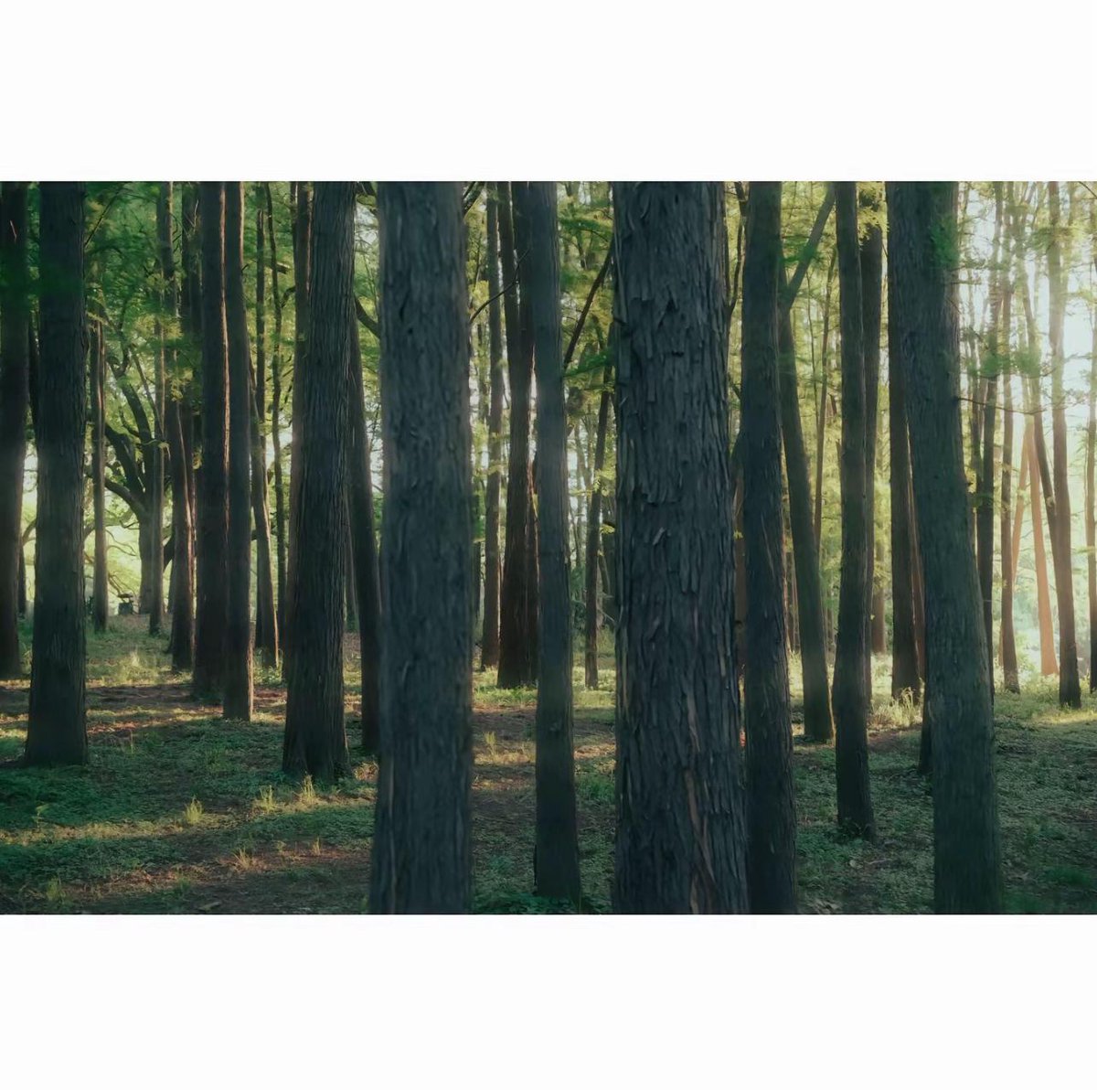 MaShimez's tweet photo. Sometimes silence feels heavier than I expect. Do you ever feel that way too? ☕ https://t.co/zP0cg00vxF
