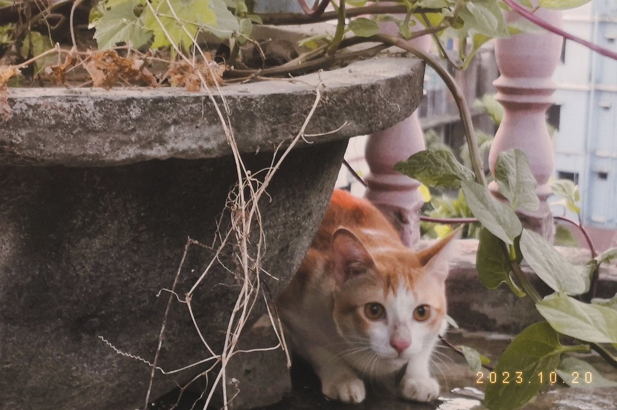orionyul's tweet photo. The devil craves nature https://t.co/wqscLyjVgT