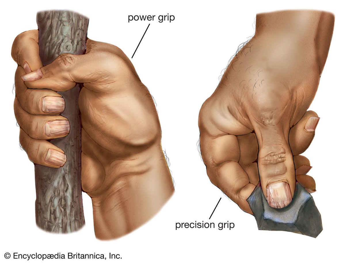 MichaelNic35257's tweet photo. I recommend power grip https://t.co/0r3MAigzRe
