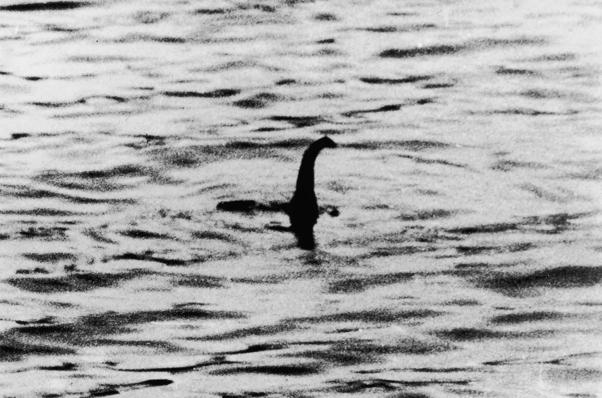 Fatahilah03's tweet photo. Foto paling ikonik "bukti" Loch Ness Monster, leher panjang muncul dari air, dipublikasiin Daily Mail tahun 1934, ternyata hoax. 

Fotografernya sendiri baru ngaku 60 tahun kemudian: itu cuma mainan submarine mini yang dikasih kepala palsu.

Tapi drama sebelumnya lebih absurd. 
Setahun sebelumnya, Daily Mail nyewa pemburu profesional buat nyari jejak kaki monster di pinggir danau. 
Dia nemu jejak kaki "20 kaki panjangnya." 
Pas dicek ahli zoologi Natural History Museum? 
Itu bekas alas payung yang based-nya kaki kuda nil kering. 
Bukan monster, itu properti rumah tangga.

Yang bikin menarik: meskipun 2 bukti utamanya kebongkar hoax, lebih dari 1.100 laporan penampakan tetep tercatat resmi sampe sekarang, dan pariwisatanya masih ngehasilin jutaan pound per tahun buat ekonomi Skotlandia. 

Ini bukti klasik: begitu sebuah cerita udah nempel di budaya populer, fakta yang membantah nggak otomatis bikin orang berhenti percaya.

Kadang yang dijual bukan bukti, tapi cerita yang orang PENGEN percaya. 🙏