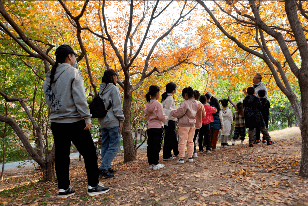 SekarwangiTri's tweet photo. Student Photography Club Autumn Walk this Sat! Snap golden leaves, campus views u0026 meet fellow shutterbugs. 2-4pm at North Gate. Bring your camera (or phone!) u0026 join the fun! #CampusClub https://t.co/BX8UdqiWB6