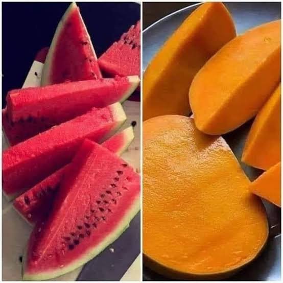 Alaa_a22a's tweet photo. اختيار واحد 🤩🤩
انا مانجا 🥭 https://t.co/eidUUktPev
