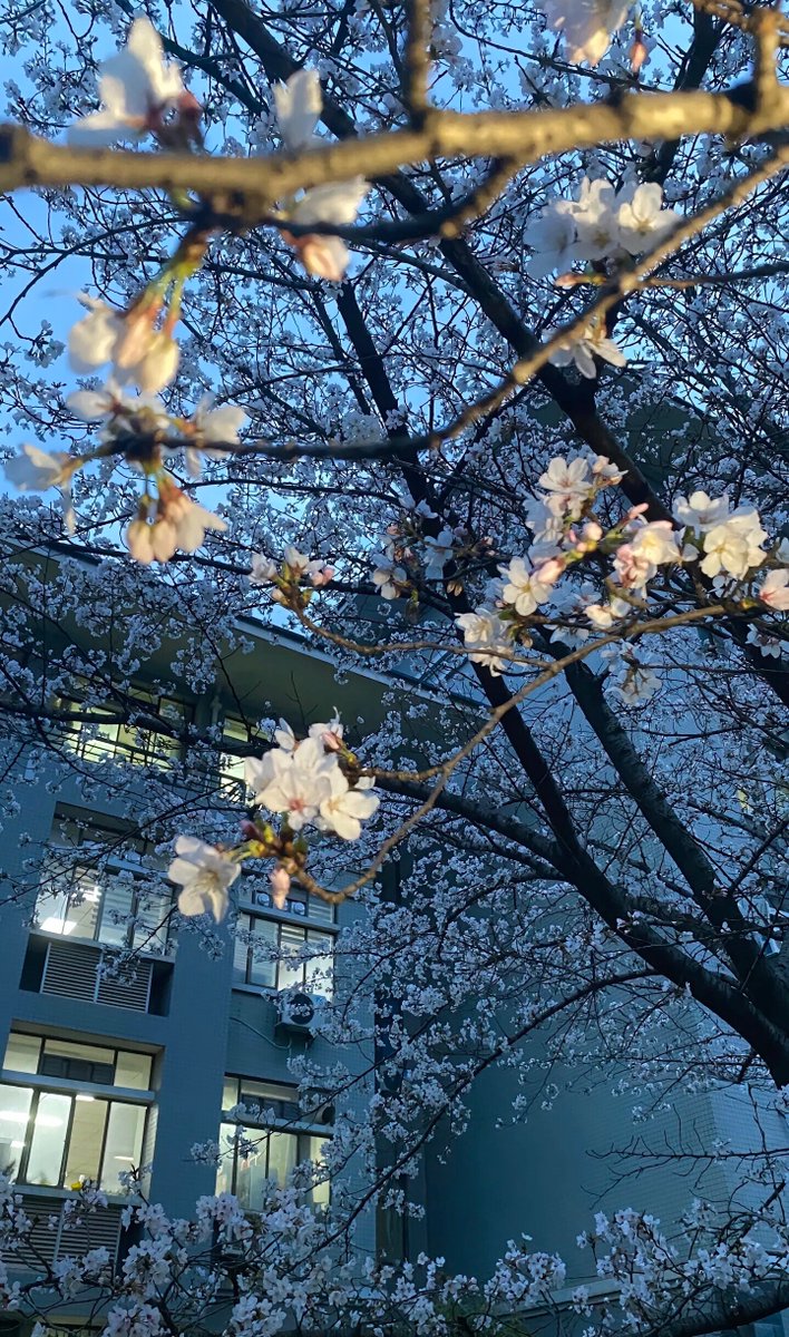 FawnPacho7wd's tweet photo. なんとなく心が落ち着くような、静かな時間が流れてる https://t.co/oEcbuitzwG
