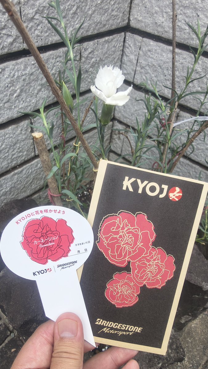 daichannanda's tweet photo. 木の枝を支えに使って
肥料追加しました

#KYOJO
#KYOJOに花を咲かせよう
#KYOJO_BS
@BSMS_4 
@KYOJOCUP_OA

ついに咲きました
赤じゃなく
白い花でした
育ててる人に
ひとつアドバイスを
ちゃんとまっすぐなるように
添え木した方が
しっかり育ちますよ https://t.co/7O6feZ7wsg