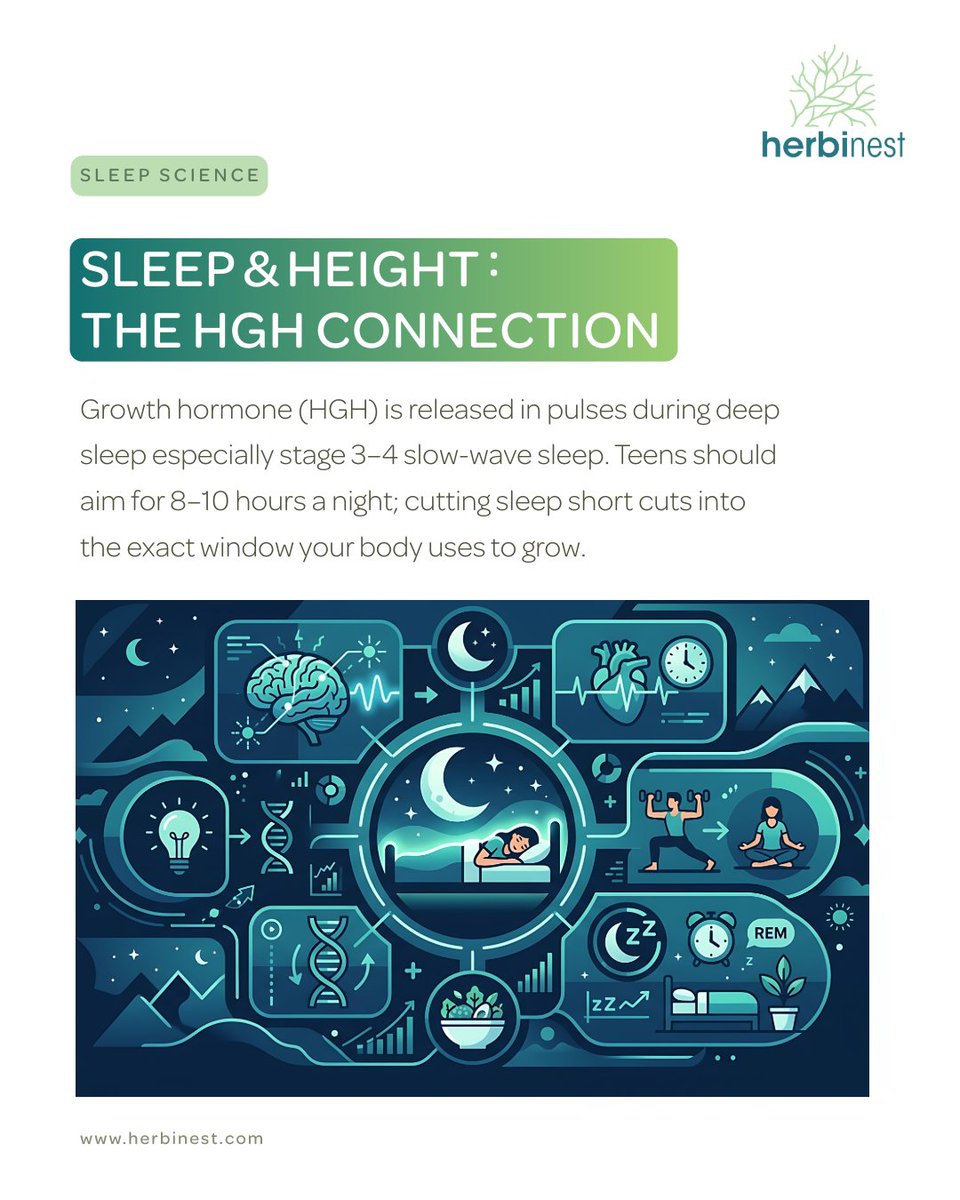 Herbinest1's tweet photo. Sleep &amp; height: the HGH connection
Follow for natural growth tips
Inbox your queries
or WhatsApp #03008453661
or visit at https://t.co/cMq48foRcW
#AugustReset
#HealthyHabits
#HerbinestWellness
#DailyWellness https://t.co/et0qNQsAwf