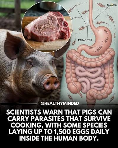 iontecs_pemf's tweet photo. @maximumpain333 Not only is this a scene from the 7th circle of botulism hell, but these are all humans cast under a spell.

Some people have to eat red meat to be healthy but no one requires pork. Swine parasites (trichinosis) can survive cooking and solid freezing.
https://t.co/HIBSiT7x6J https://t.co/OlNFMTSYmF