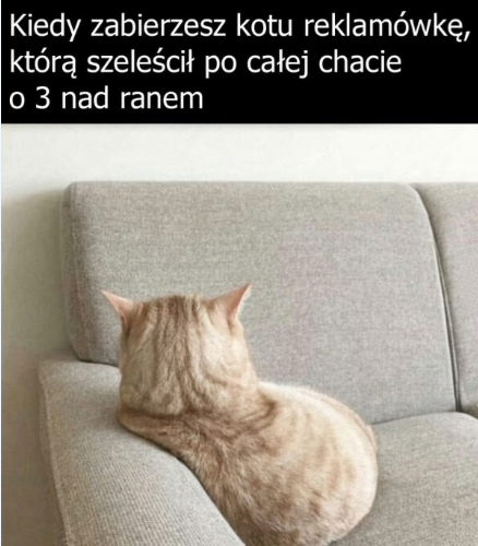 AjKedzierski's tweet photo. Smutne https://t.co/FfkXPrh9vB