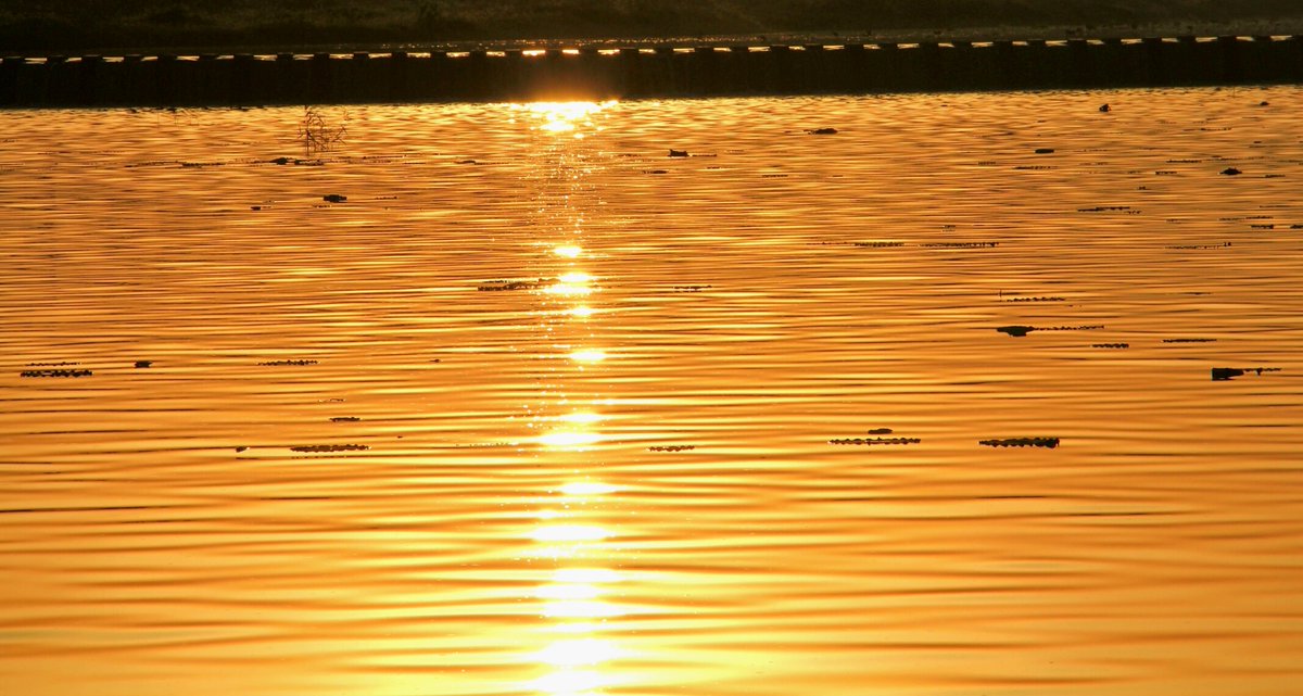 master27919299's tweet photo. [Hey everyone! Our campus photography club is hosting a sunset waterfront shoot this Saturday at 5 PM—all skill levels welcome, free snacks included! DM us to grab a spot!]， https://t.co/wXlrggiuDN