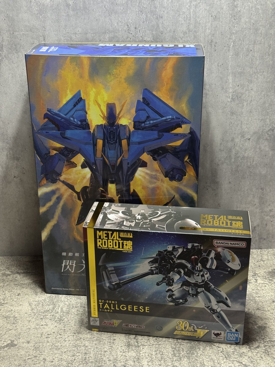 FUKAMIN4649's tweet photo. 8月のプレバン品到着!!

ロボット魂のクスィーとトールギス…

いやクスィーの箱デケぇー(´･ω･`;)

トールギスの外箱2分あるやんw

あとでこれらのショート撮ろ〜(       )))))ｺﾞｿｺﾞｿ https://t.co/yhZhGy5nEU