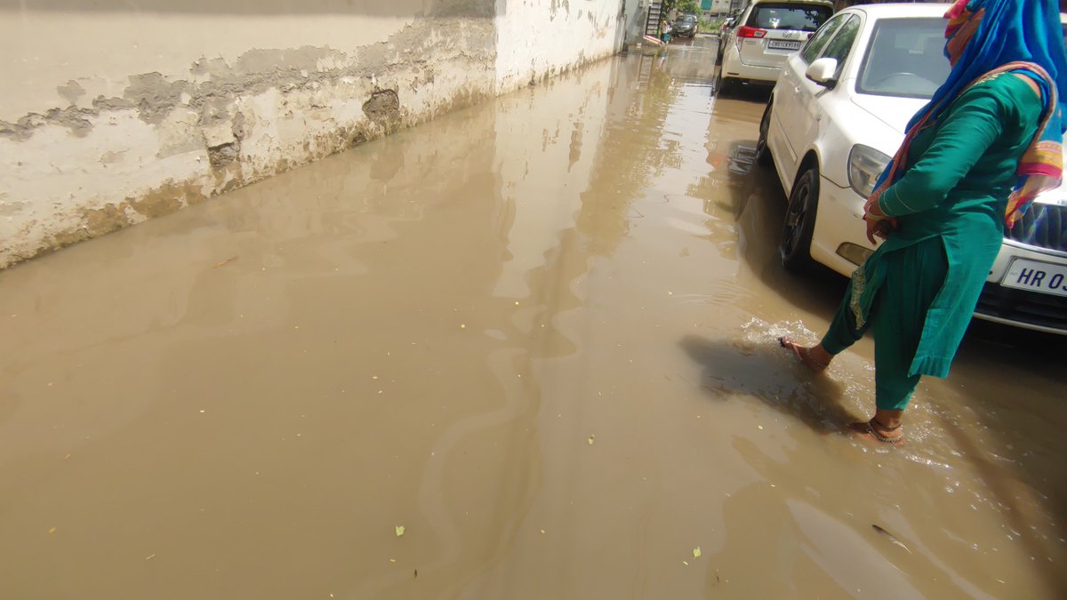 Mr_LogiCKal's tweet photo. @ArvindKejriwal Gurdev Nagar Zirakpur is soon going to face a Pandemic due to regular Drainage overflow due to rain waterlogging, encroachment and blockage by new constructions. 

What is the solution?

SAVE GURDEV NAGAR @KuljitRandhawaa
@ForumRwa @AamAadmiParty @McZirakpur https://t.co/BdZUzDckWS