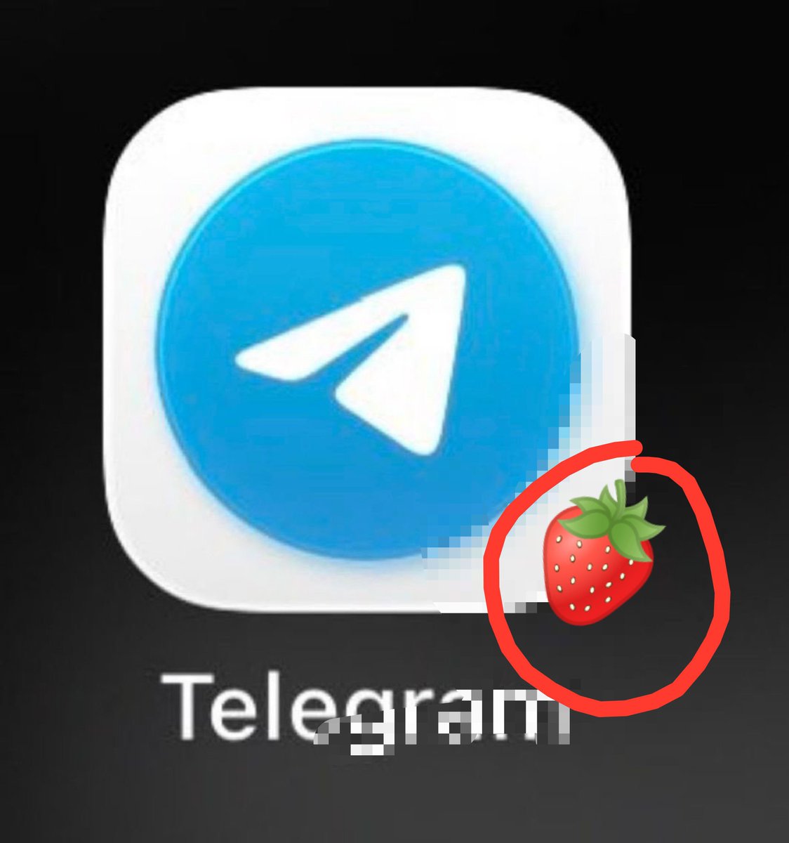 joninhx's tweet photo. What are the best Telegram groups? https://t.co/CNP1uH4ezH