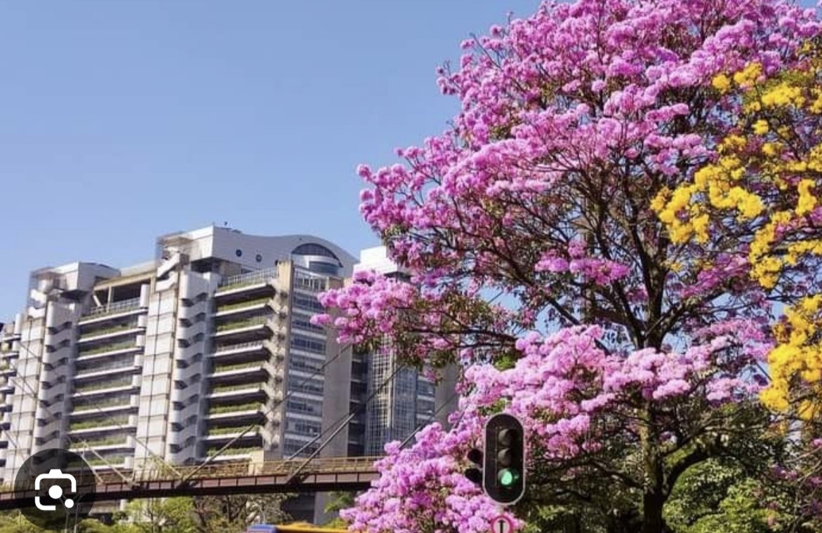 aarestre's tweet photo. @cocoabrowni0428 @Tougi_mahjong Cómo que no? Esto es en Medellín y podés ver en plena calle 2 de dos colores diferentes... https://t.co/8s4wDw3kYT
