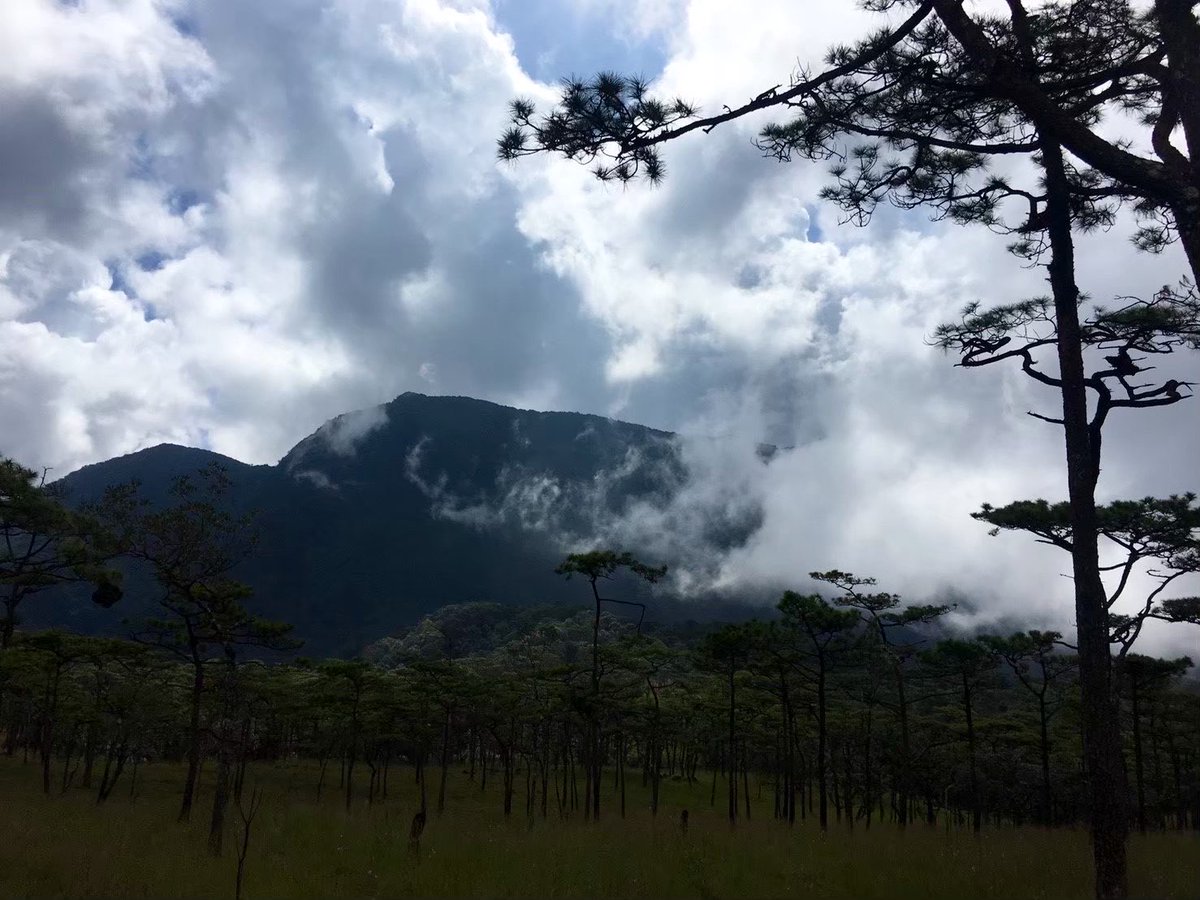 ADVENTURER_x007's tweet photo. เก็บภาพธรรมชาติไว้ดูคืนนี้
 แล้วเก็บความสุขไว้เริ่มต้นใหม่ในวันพรุ่งนี้ 🏕️🌙
 ฝันดีครับ Goodnight na krub 😴💤

#ภูสอยดาว https://t.co/PabMTPrDqM