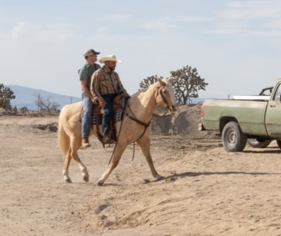 browneyesdiaz's tweet photo. me when im on my high horse https://t.co/OGf8SgBikP