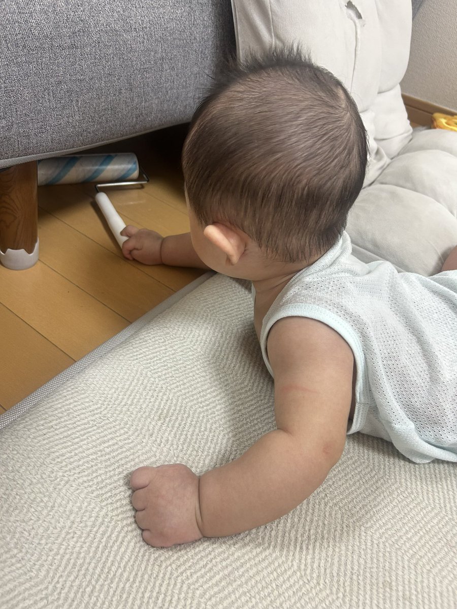 mamechitamago's tweet photo. なんか静かだなと思っていたらせっせとコロコロしてくれてました😅 https://t.co/4xgKAetd75
