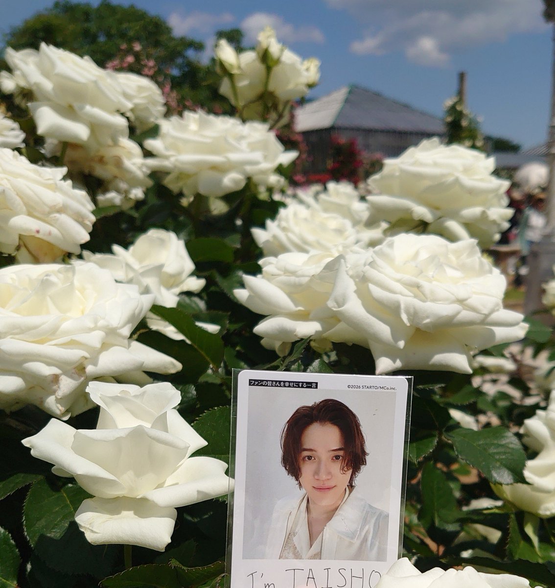 teeteetee2022's tweet photo. 大昇くん
24歳のお誕生日おめでとう🎂
楽しいこと嬉しいことにあふれる
すてきな1年になりますように
デビュー曲楽しみにしてるよ🎶
#岩﨑大昇誕生祭2026
#岩﨑大昇 #KEYTOLIT https://t.co/rlMR4byceO