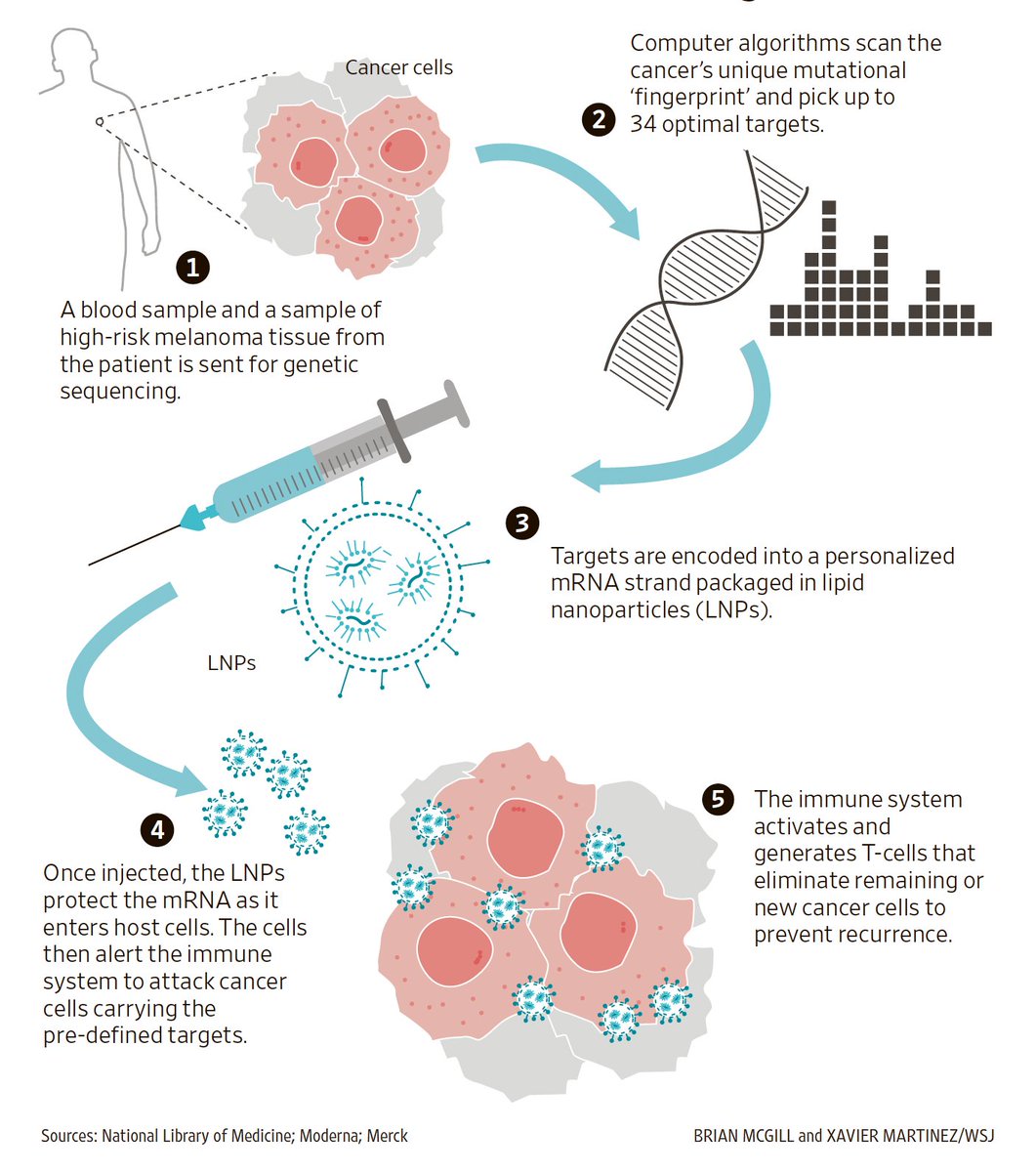 Neat. Targeted delivery system that allows the immune system to identify an aberrant melanoma cell and attack it using mRNA tech.