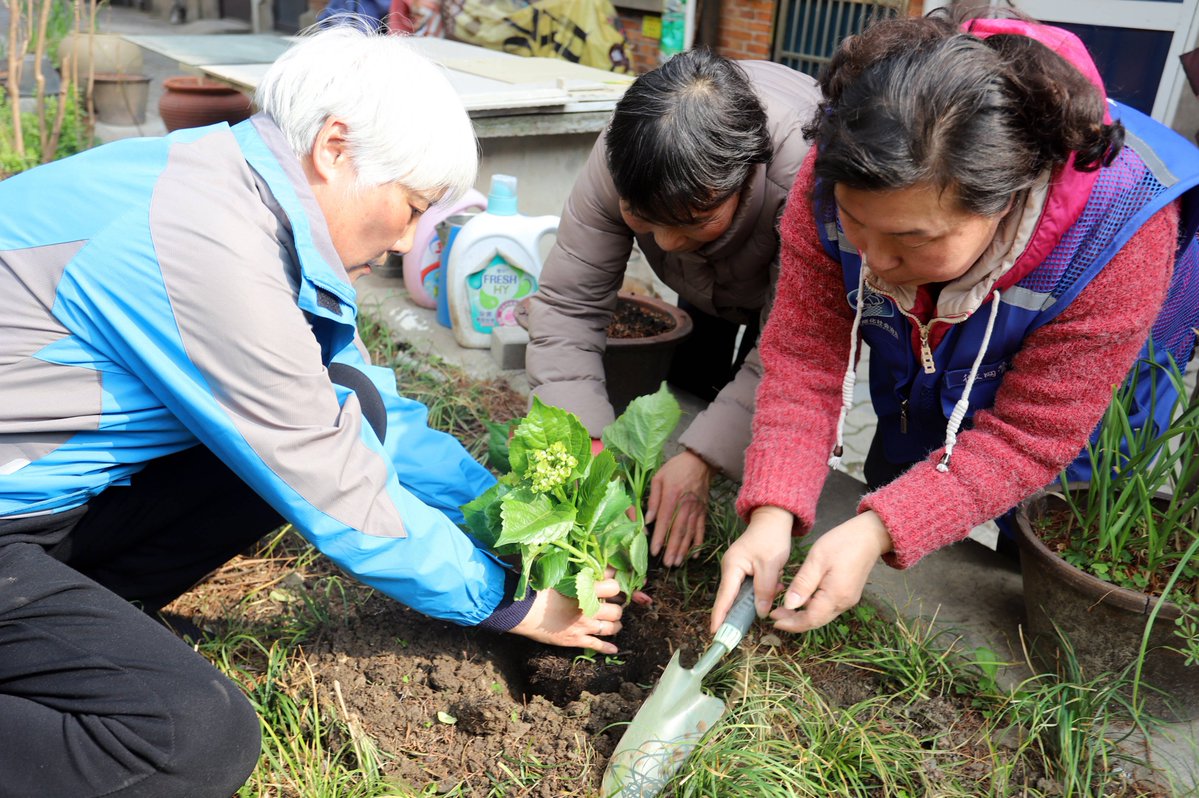 4DIGrDrkPiOObPy's tweet photo. Free community garden planting day this Sat! 10AM at Maple Park. No experience needed—bring gloves if you have 'em, we'll supply seeds and tools. Come grow fresh veggies with neighbors!， https://t.co/P3h78RK5Xq