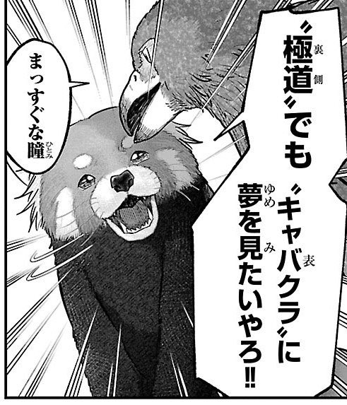 cooocooo26261's tweet photo. https://t.co/wXCHmtap9m