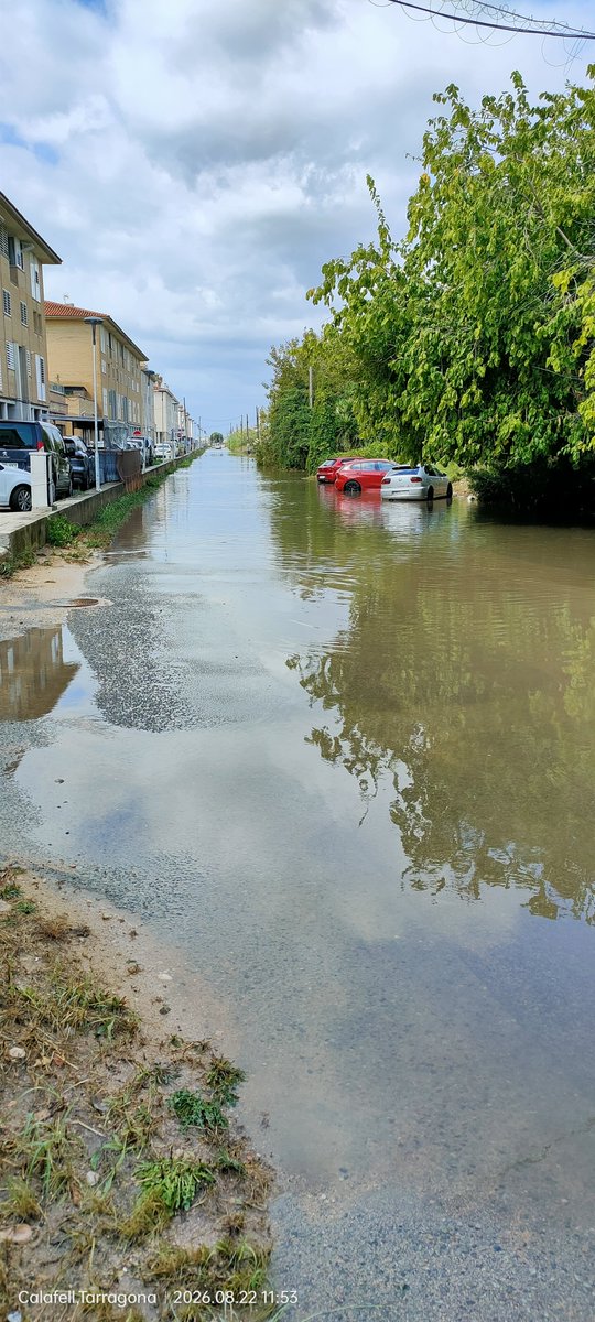 Oskigan's tweet photo. Así ha amanecido Sant Salvador después de las tormentas de ayer. Los vecinos llevan denunciando esta situación varios años.
@3CatInfoelTemps @alexmegapc @meteocat @TomasMolinaB https://t.co/UKXzTiJTWl