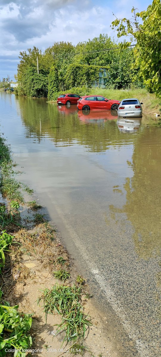 Oskigan's tweet photo. Así ha amanecido Sant Salvador después de las tormentas de ayer. Los vecinos llevan denunciando esta situación varios años.
@3CatInfoelTemps @alexmegapc @meteocat @TomasMolinaB https://t.co/UKXzTiJTWl