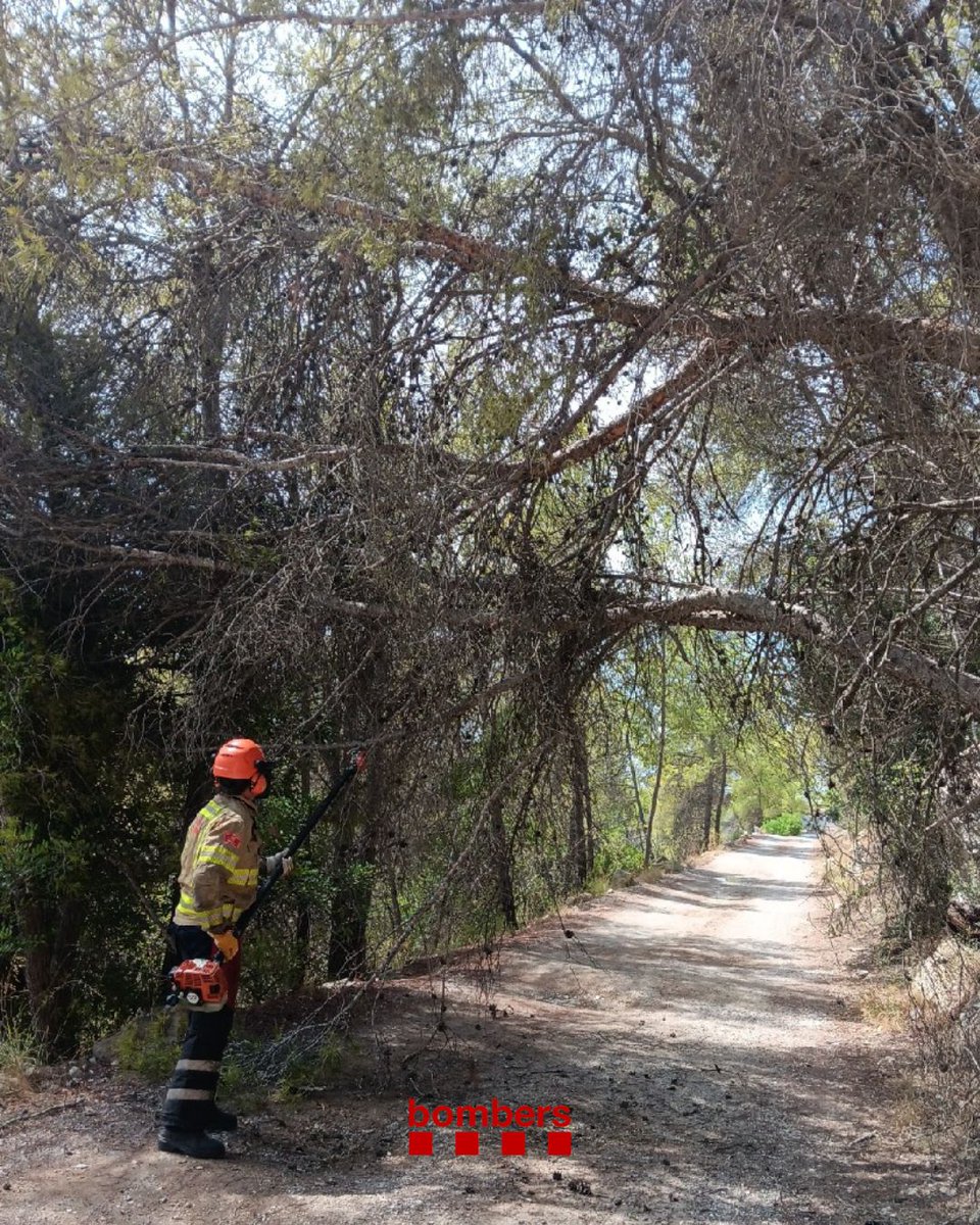bomberscat's tweet photo. Una dotació amb efectius dels #EPAF d'Igualada han trossejat i retirat un arbre que tallava un camí a l'av. de Marcer de la Penya, a Sant Pere de Ribes (avís 12.15h).

#bomberscat https://t.co/TcixH2BIsY