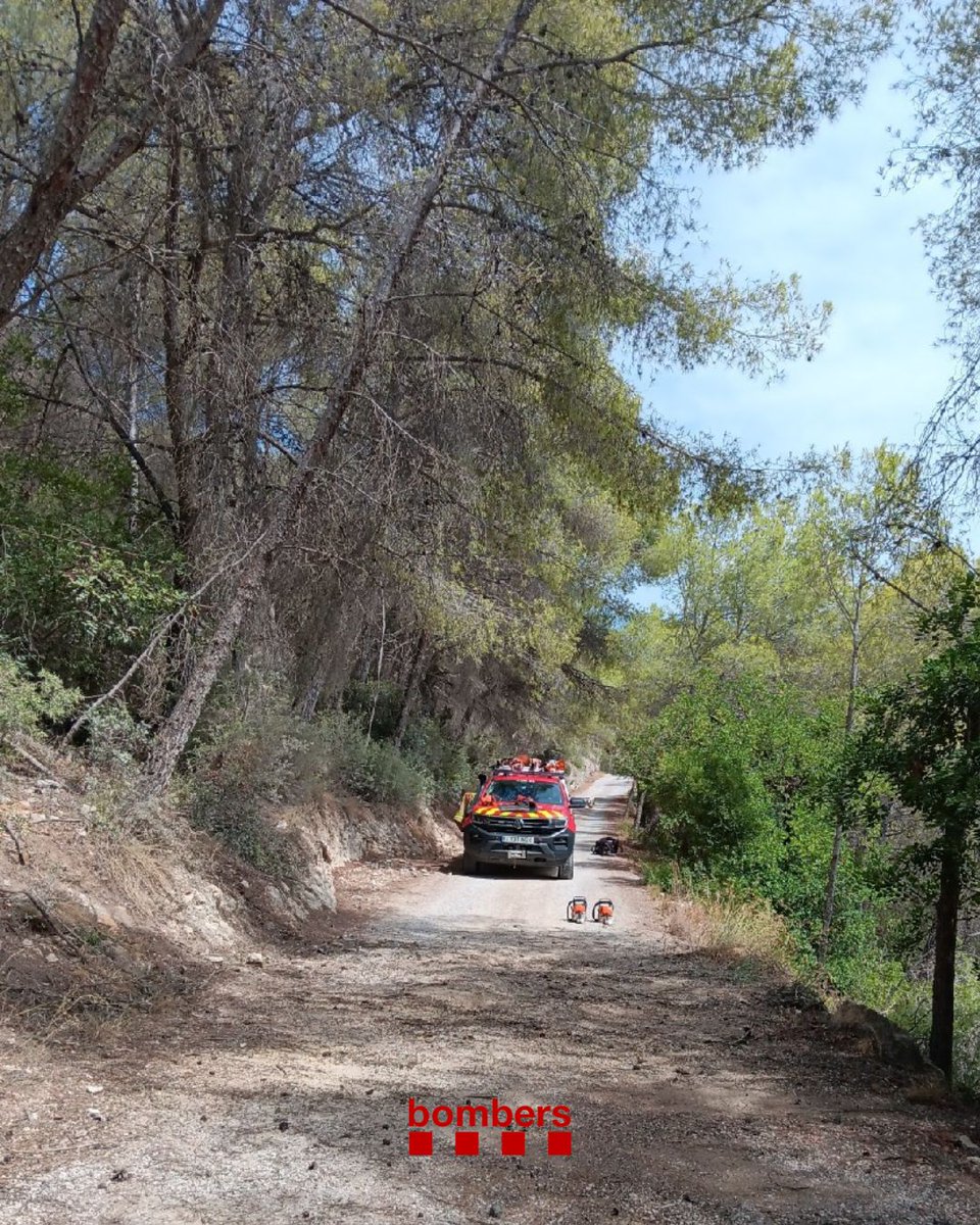 bomberscat's tweet photo. Una dotació amb efectius dels #EPAF d'Igualada han trossejat i retirat un arbre que tallava un camí a l'av. de Marcer de la Penya, a Sant Pere de Ribes (avís 12.15h).

#bomberscat https://t.co/TcixH2BIsY