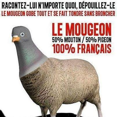 muraille8888's tweet photo. @FEncel3 peuple de mougeons, ça n'arrivera pas. https://t.co/xCyGCSzW7h