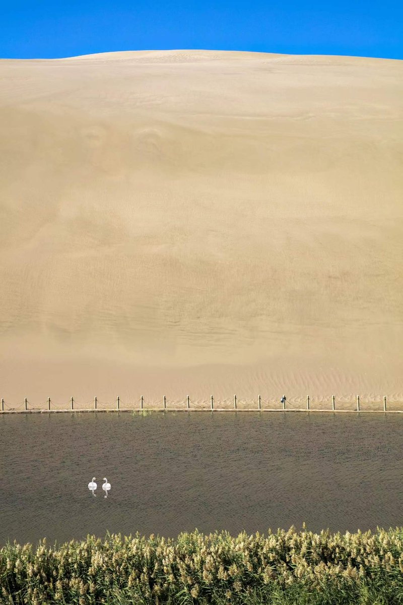 DJShant6's tweet photo. The goal of desert control is the harmonious coexistence between humans and nature.Gansu,China. https://t.co/EJKYsi5yEE