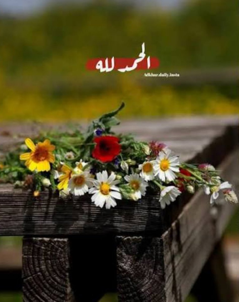_alsukhur's tweet photo. "اللَّهُمَّ لَكَ الْحَمْدُ حَتَّى تَرْضَى ، وَلَك الْحَمْدُ إذَا رَضِيَتْ وَلَك الْحَمْدُ بَعْدَ الرِّضَا اللَّهُمَّ لَكَ الْحَمْدُ حمدًا كثيرًا طيبًا مُباركًا فِيه ملءُ السَّمَاوَاتِ وَالْأَرْضِ وَمَا بَيْنَهُمَا.."
#الحمدلله_دائماً_وابداً 🤲
#مساء_الخـير 🤍🕊️ https://t.co/ud3v0ZveKB