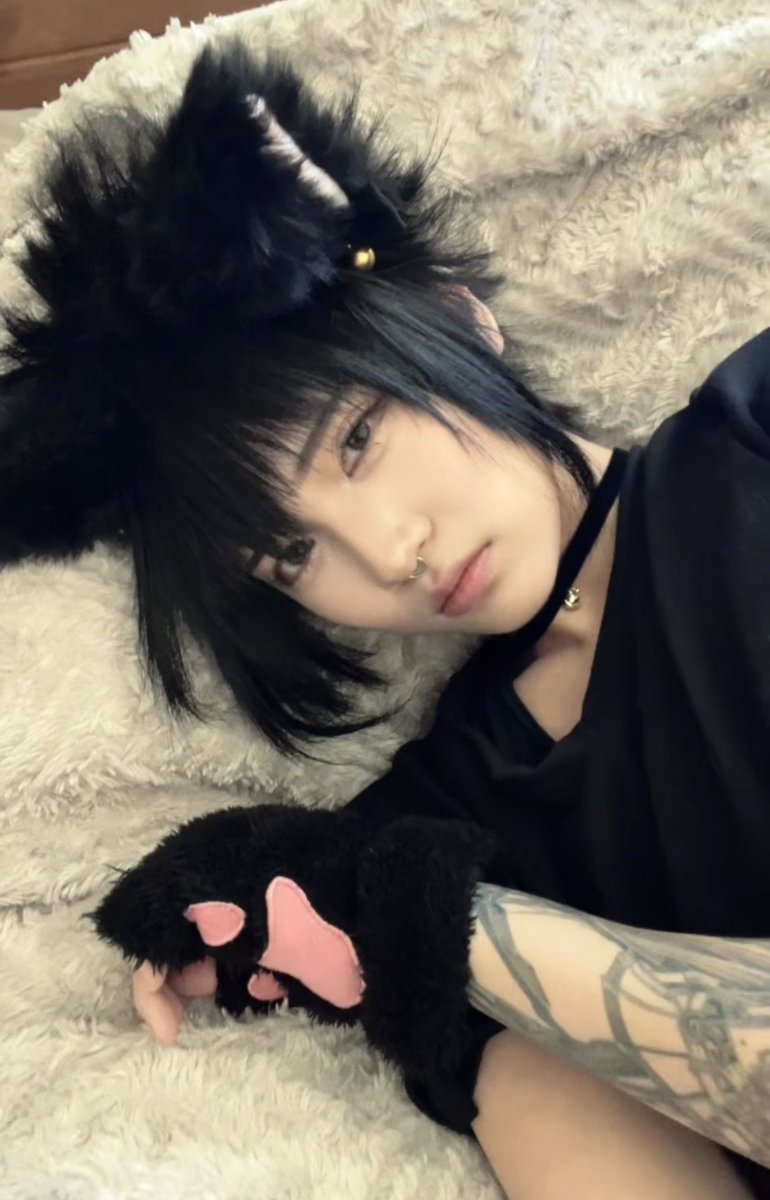 ven_btw's tweet photo. Catsuke, but where’s Nyaruto? 😔 https://t.co/YjHuLR33mS