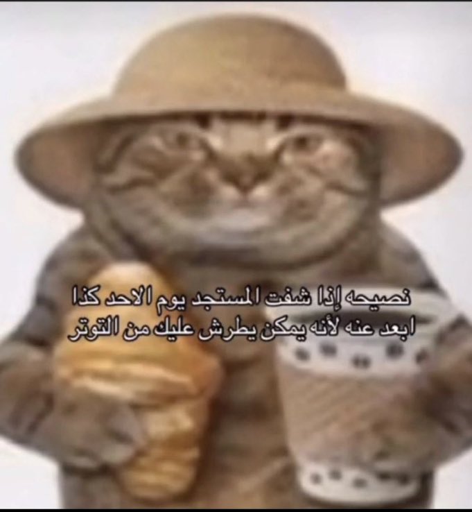 httyydi's tweet photo. غدًا https://t.co/chDR71DoNF