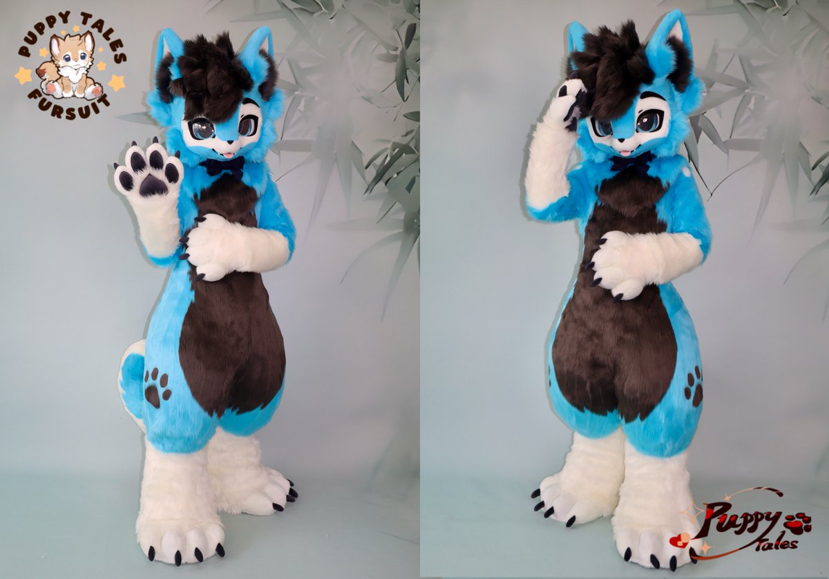 xiaoquandoki10's tweet photo. Commission work completed~✨
🩵💙🩵💙🩵💙
Here comes the handsome &amp; adorable husky to meet everyone～
Owner:@FuzzyHusky2
Welcome to our family! 
Thank you for your continued support~ https://t.co/uSy3LG3cHM