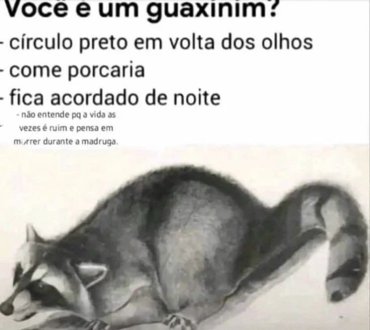 shitpostverdade's tweet photo. https://t.co/tY3lxE2qxz