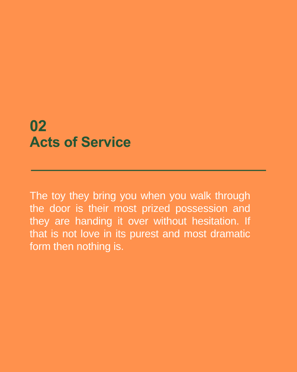 Boxer's tweet photo. Therapists will never understand what a boxer does for the soul. 🥺💀 The physical touch that ignores all boundaries. The acts of service nobody asked for. The quality time that includes the bathroom. The words of affirmation delivered at full volume whether you want them or not. https://t.co/hkpsxO6tyK