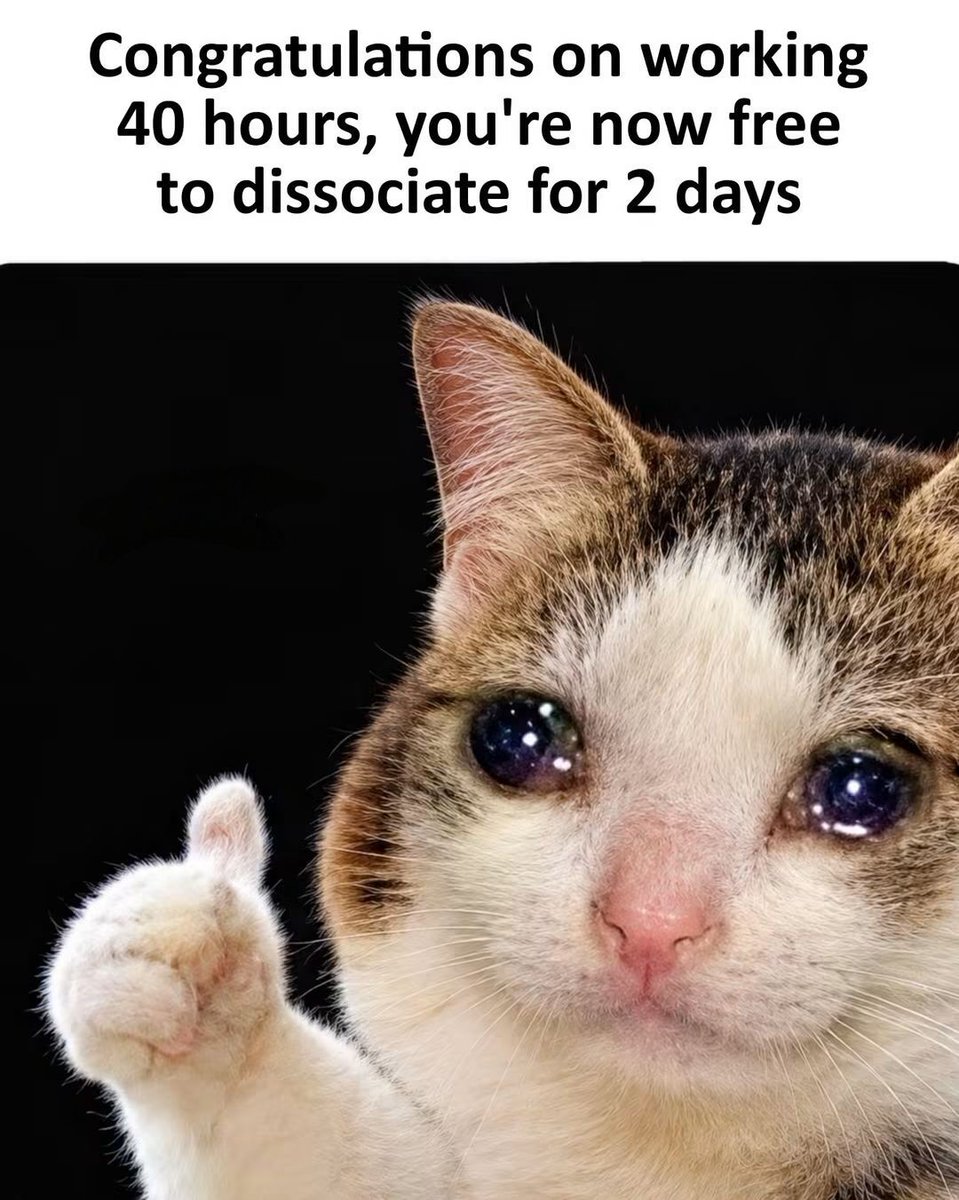WholesomeMeme's tweet photo. https://t.co/ZKLzbJXBGF