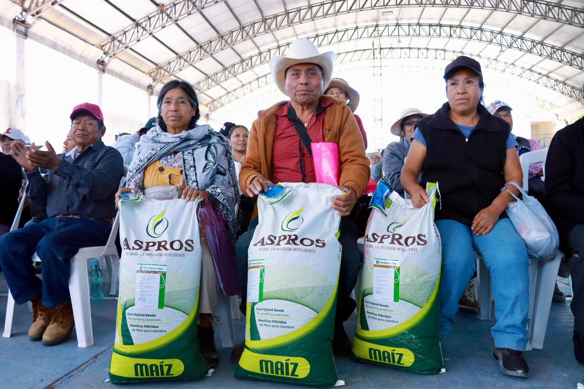 juliomenchaca_'s tweet photo. Esta semana, más de 1,300 productoras y productores de Tecozautla y Cardonal recibieron semillas, hijuelos de maguey, aves, herramientas, vientres porcinos y ovinos.

Con estos apoyos, las familias del campo pueden mejorar su producción, fortalecer sus actividades y generar mejores oportunidades para sus hogares.

#PrimeroElPueblo